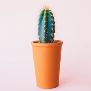 product 08